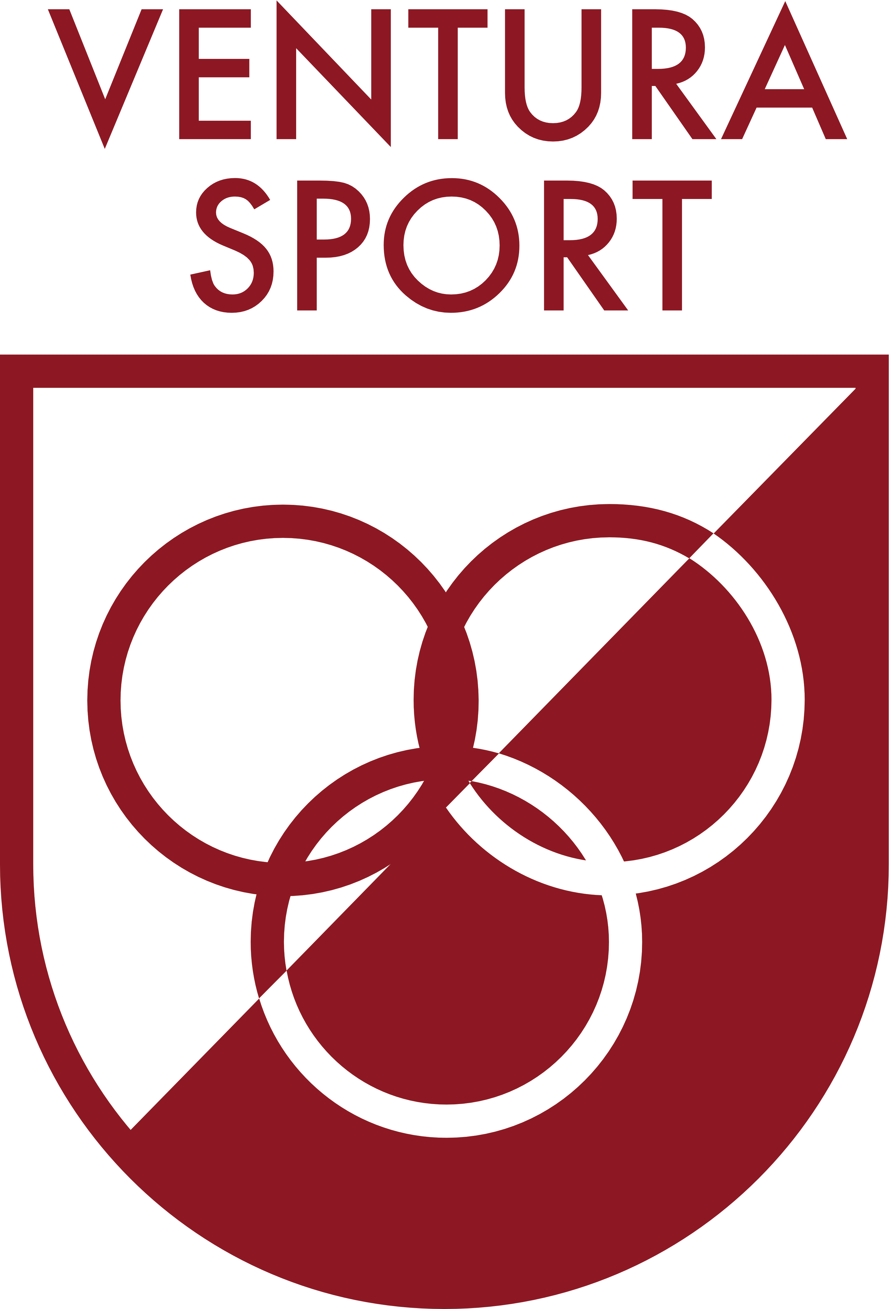 Ballenactie Ventura Sport